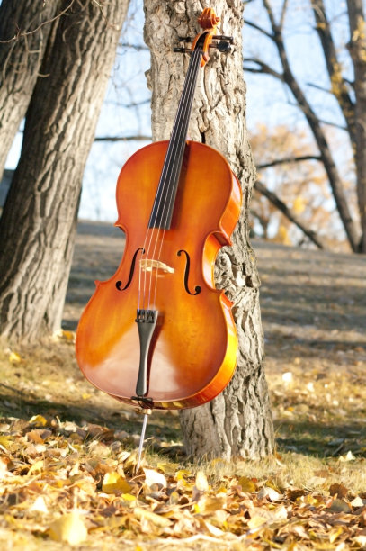 大提琴小提琴演出海报