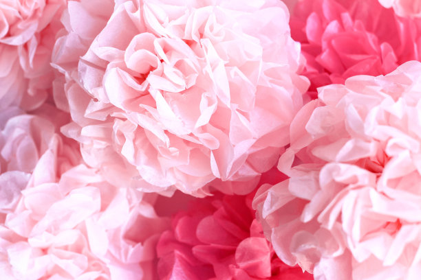 粉红色牡丹花背景墙