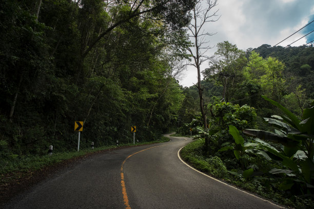 森林山路