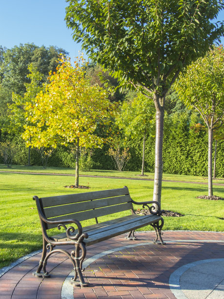 公园休息区图片