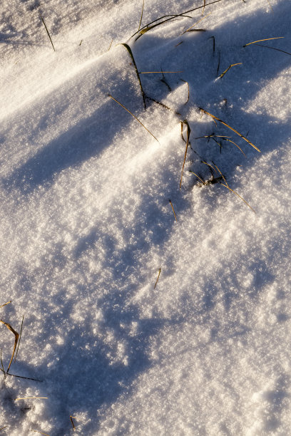 狂风暴雪