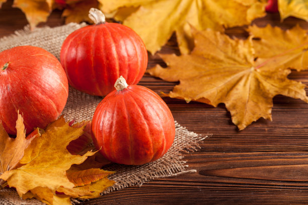 红棕色秋分秋天深秋入秋秋季海报
