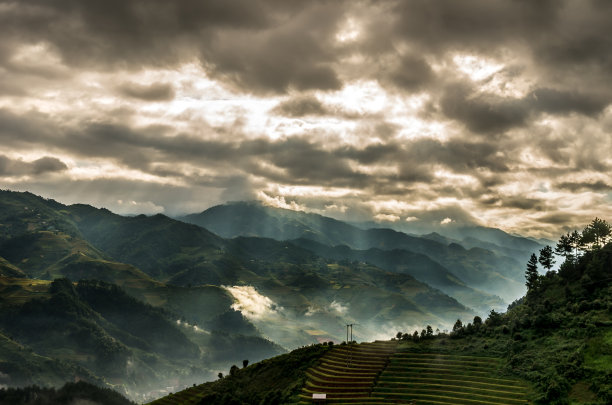 丰收情景