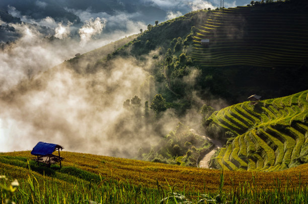 丰收情景