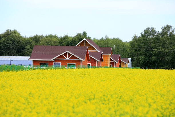 生态旅游住宅