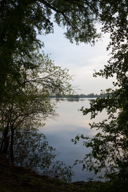 湖区湿地