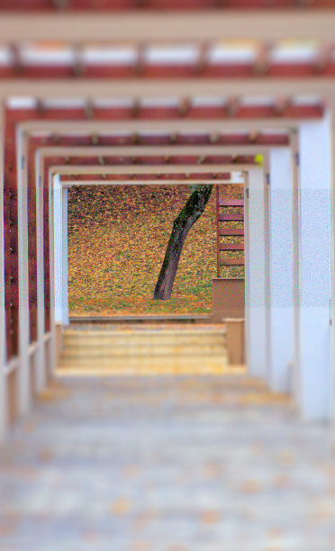 秋天拱门设计