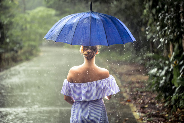 动感树叶 雨伞