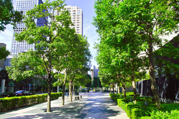 日本东京街景