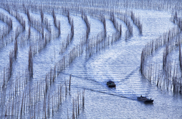 霞浦渔船