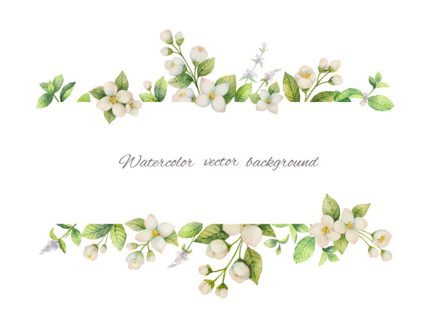 婚礼花卉背景插图