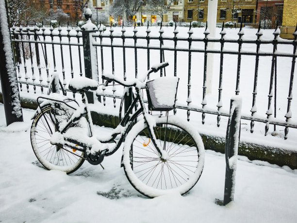 公园里冬天的游览自行车