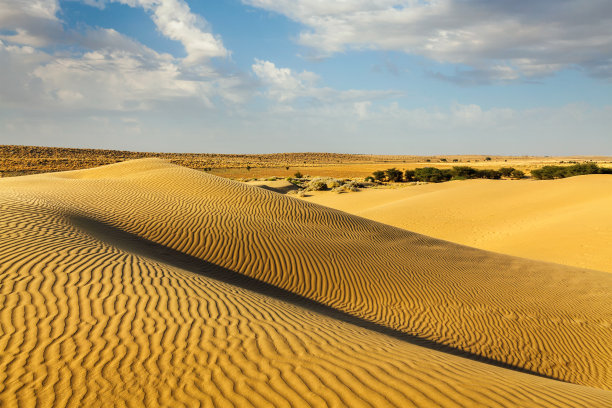 塔尔沙漠