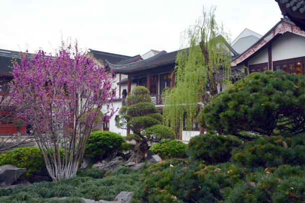 中式禅院庭院