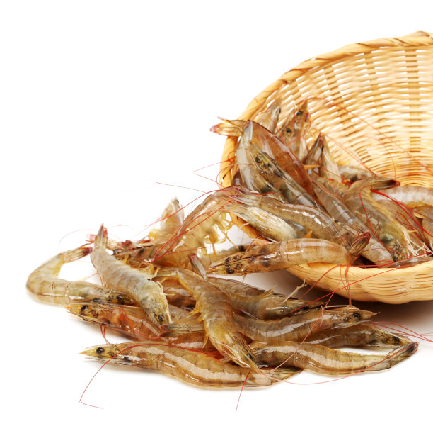新鲜大虾虾肉