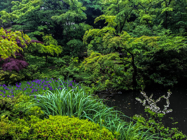 日式园林小景