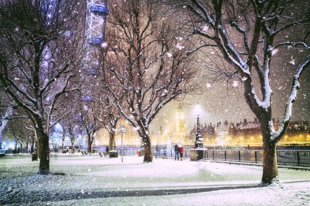 雪景灯光