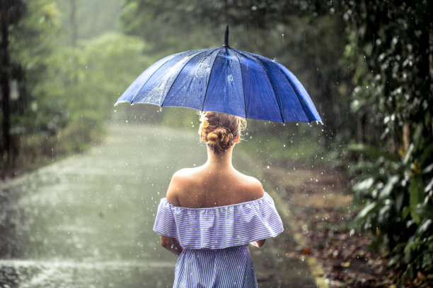 动感树叶 雨伞