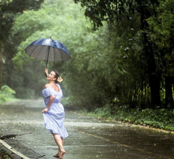 动感树叶 雨伞