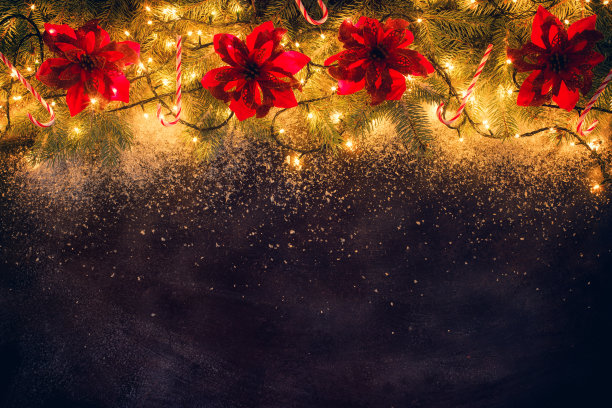 冷杉枝圣诞装饰花环图片