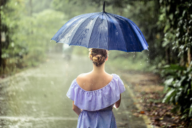 动感树叶 雨伞