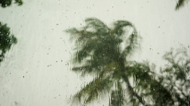 狂风骤雨