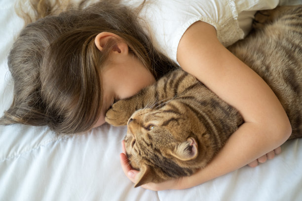 女孩抱着猫咪睡觉