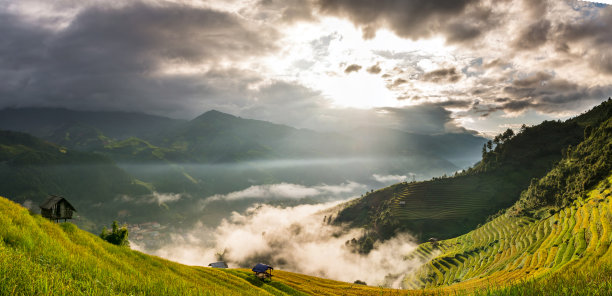 丰收情景