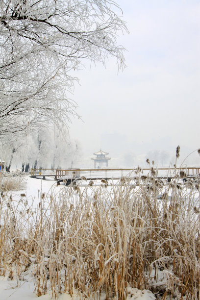 大雪中的亭子