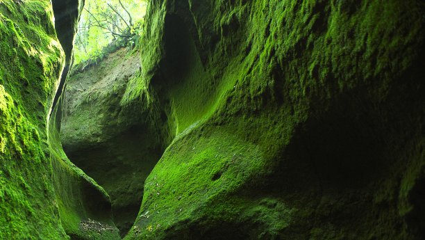 山壁栈道