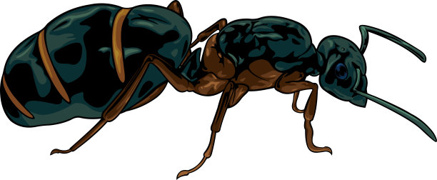蚂蚁矢量logo