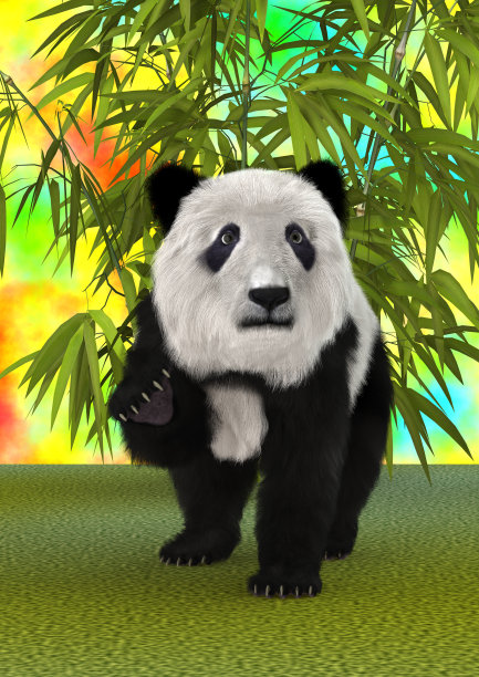 熊猫场景