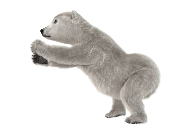 北极熊拥抱