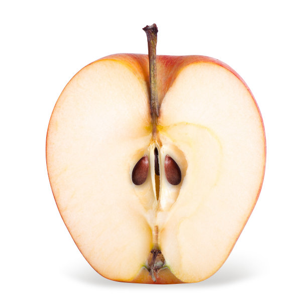 苹果的剖面