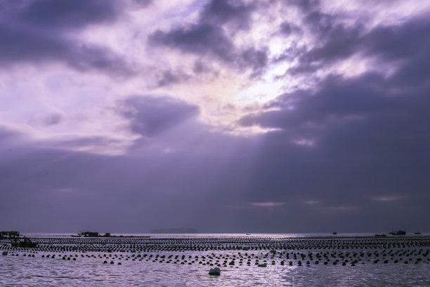 深圳海景