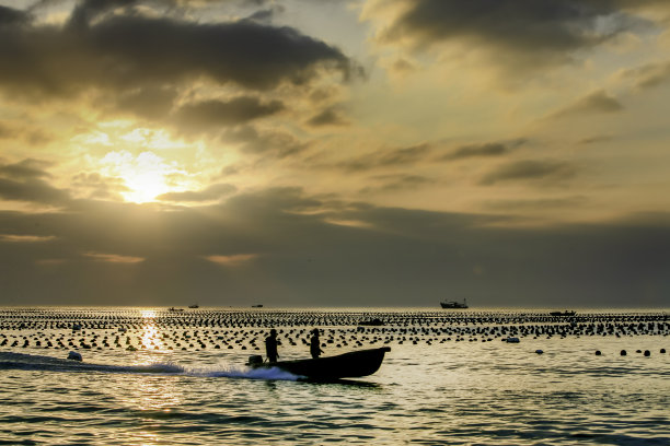 深圳海景