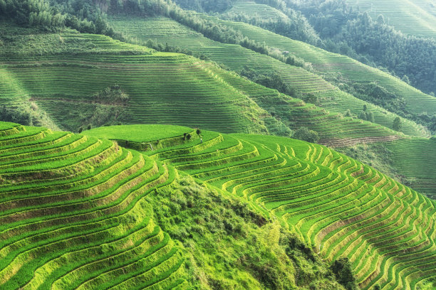 桂林梯田