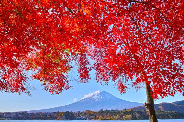 本州岛中部地区