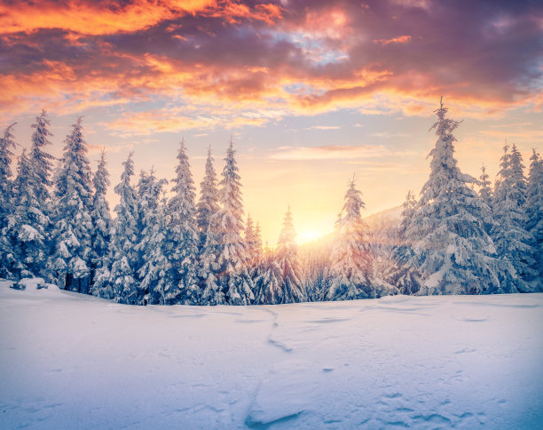 雪景