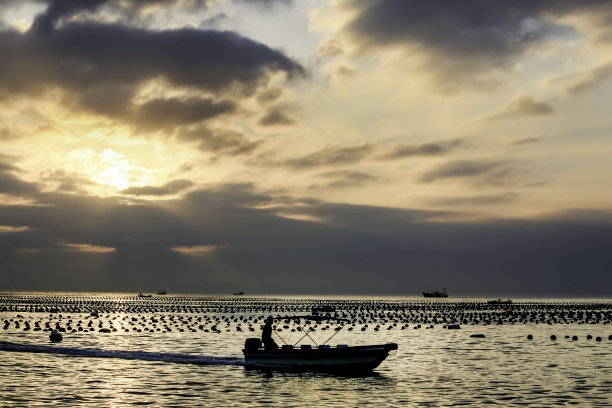 深圳海景