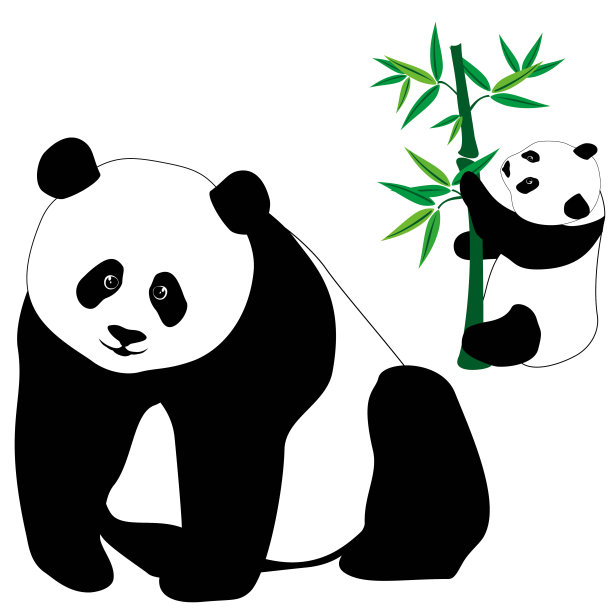 卡通呆萌熊猫