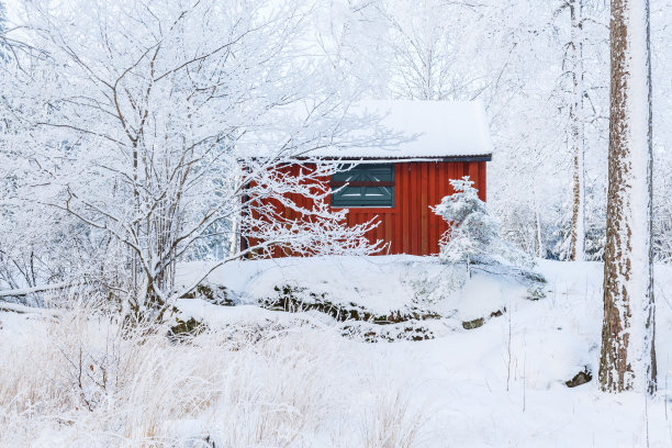 水平画幅,小木屋,雪