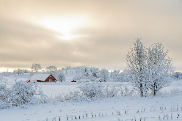 瑞典的冬季