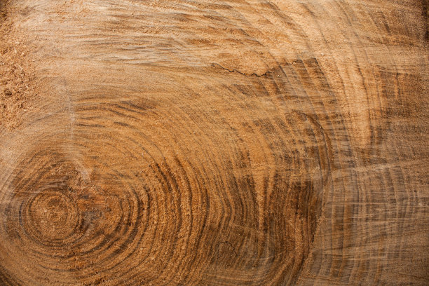 老树根木纹