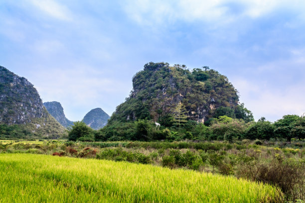 田园风光,地形,户外