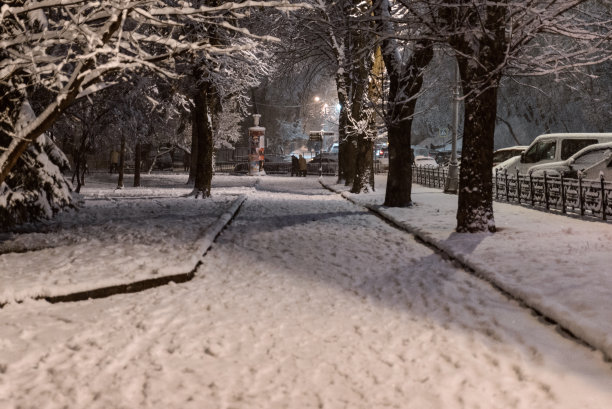 公园雪景