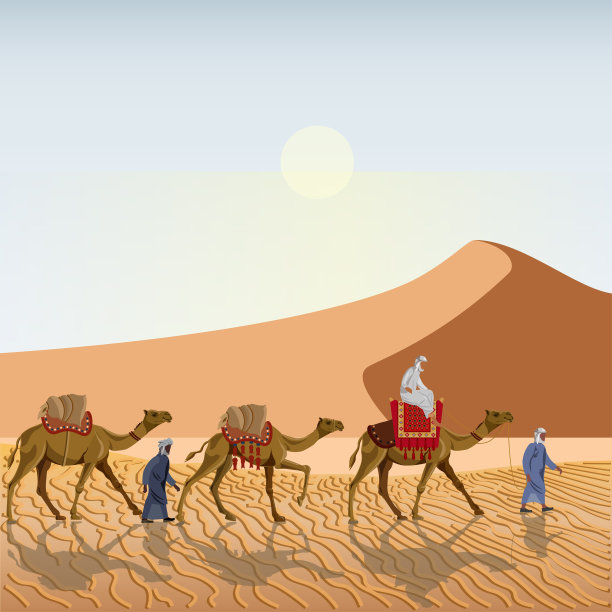 骆驼驼峰