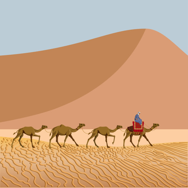 骆驼驼峰