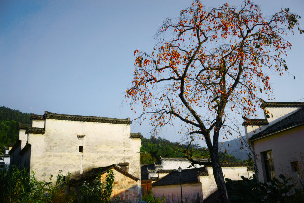 宁静的小山村