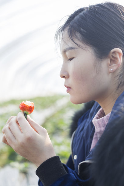 温室大棚草莓